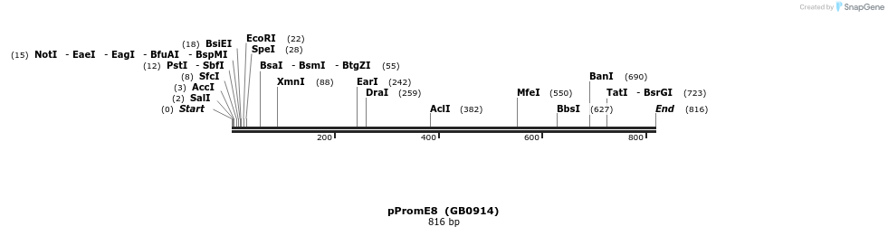 125542_map