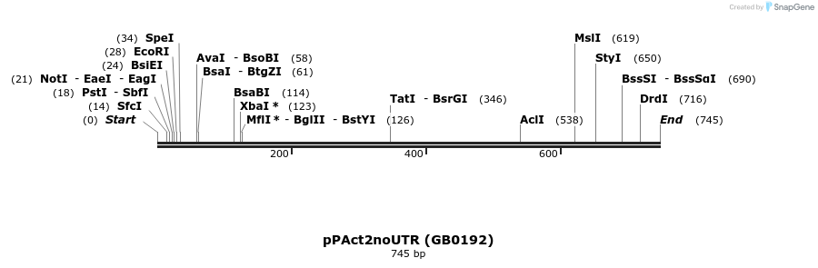 125544_map