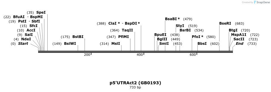 125546_map