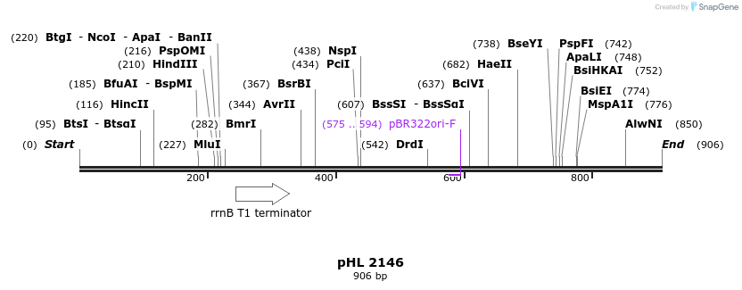 125567_map