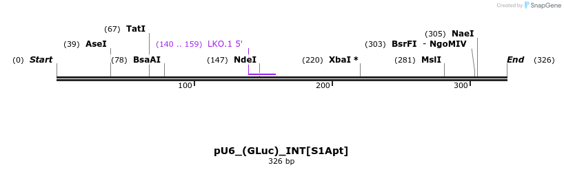 125572_map