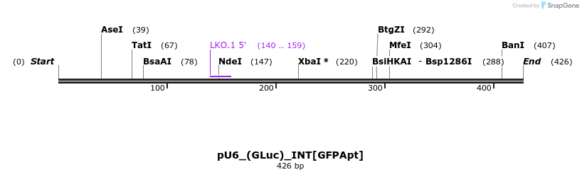 125574_map