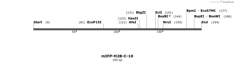 125577_map
