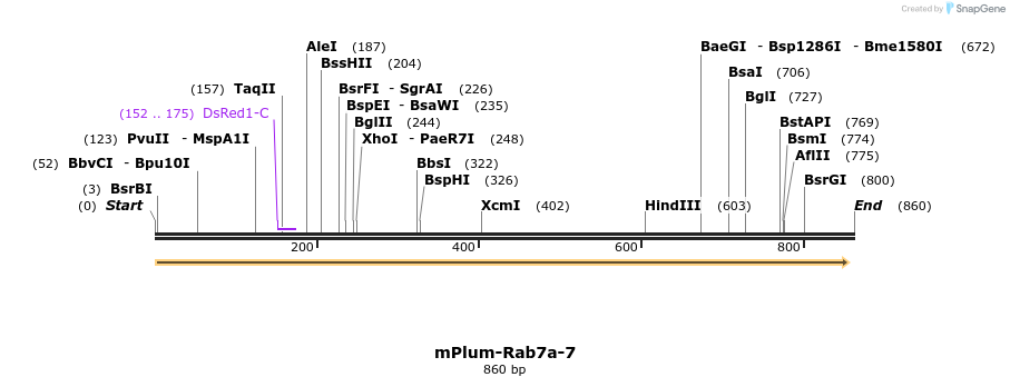 125580_map