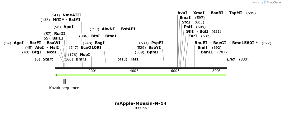 125582_map