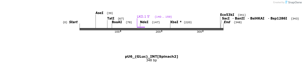 125583_map