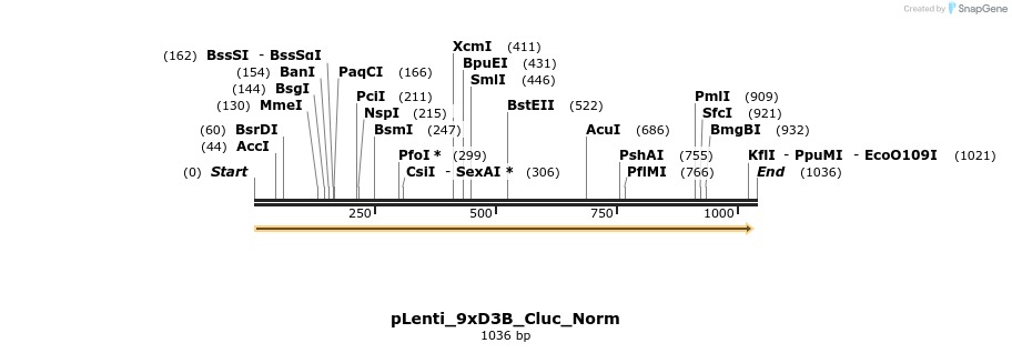 125587_map