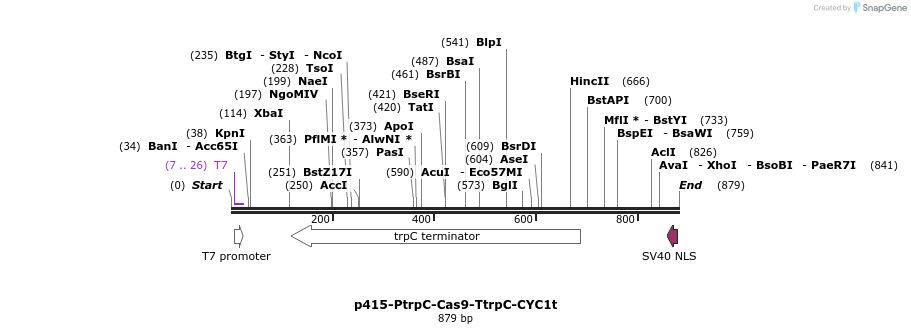 125596_map