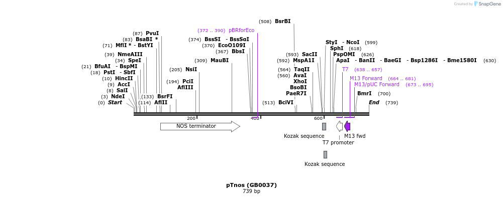 125602_map