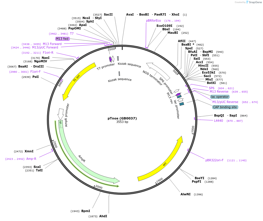 125603_map