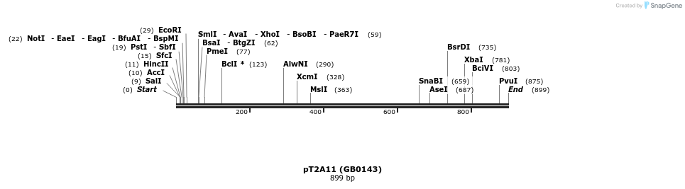 125608_map