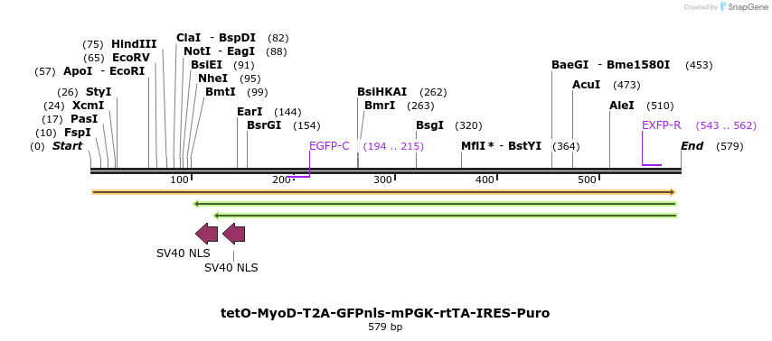 125611_map