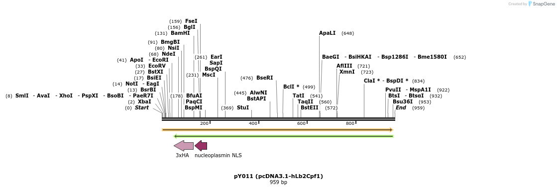 125613_map