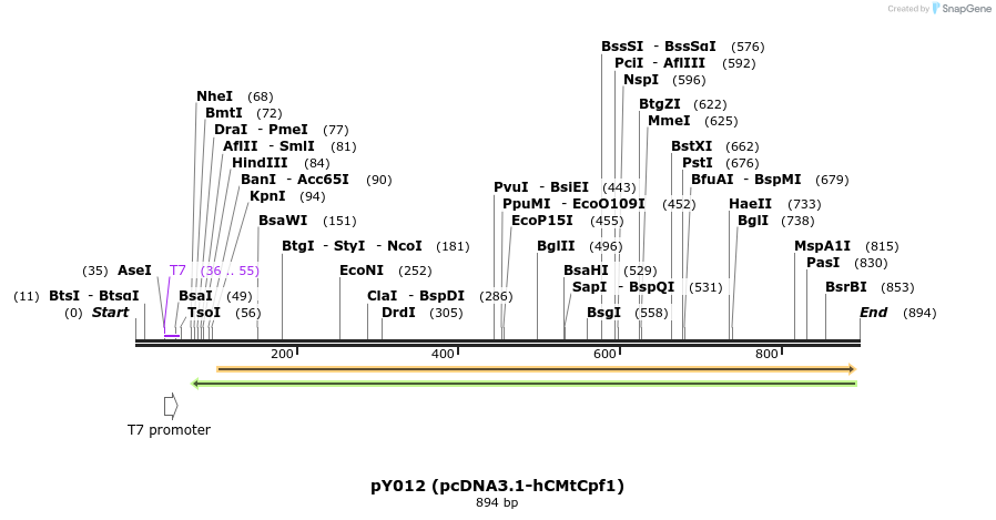 125617_map