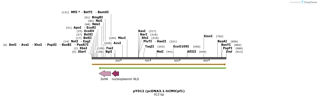 125619_map