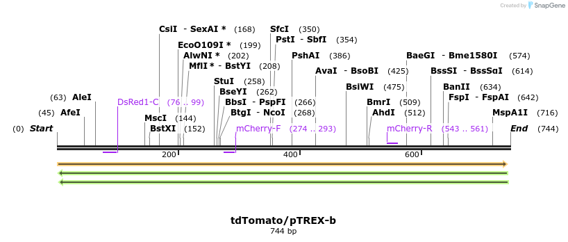 125622_map