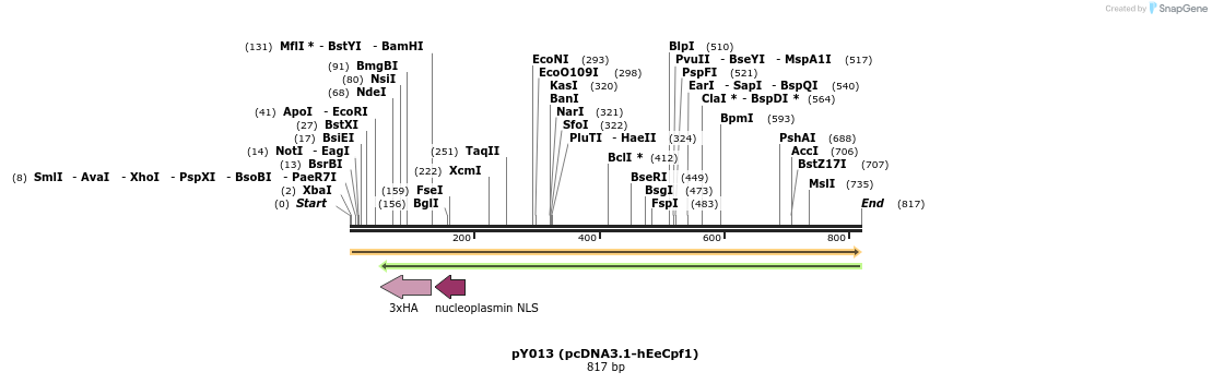 125623_map