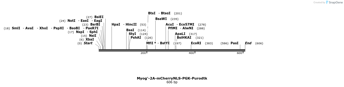 125624_map