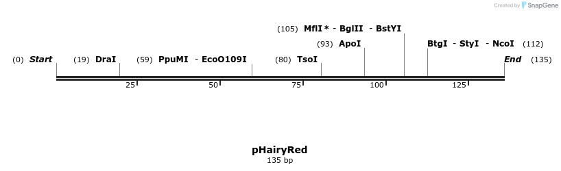 125630_map