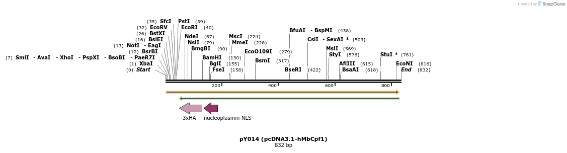 125631_map