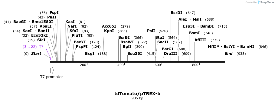 125633_map