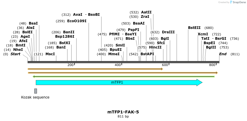 125637_map