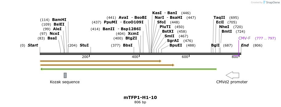 125641_map