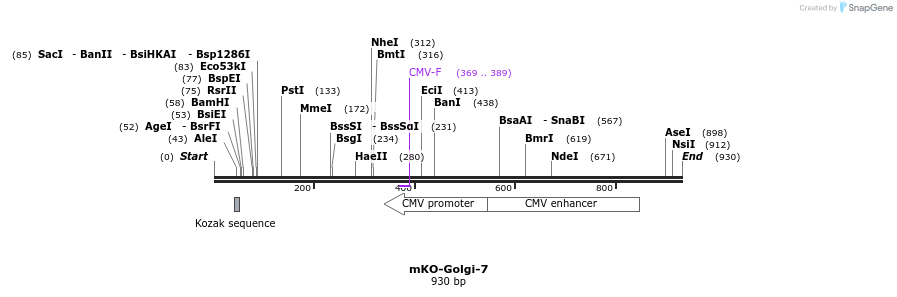 125642_map