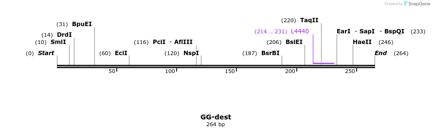 125649_map