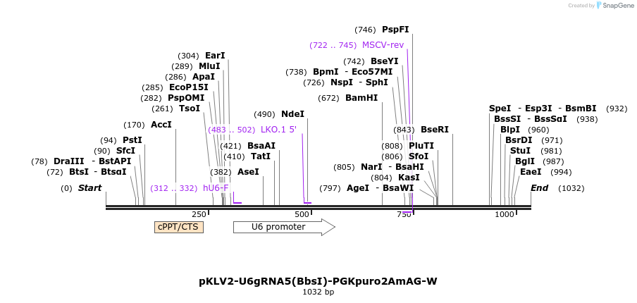 125651_map