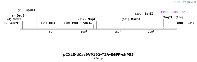 125655_map