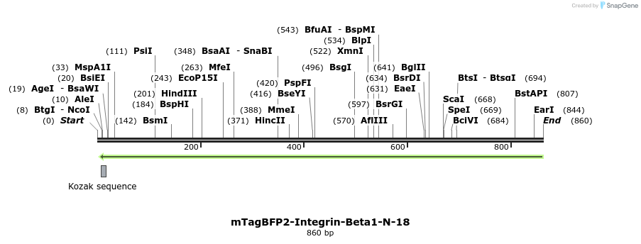 125656_map