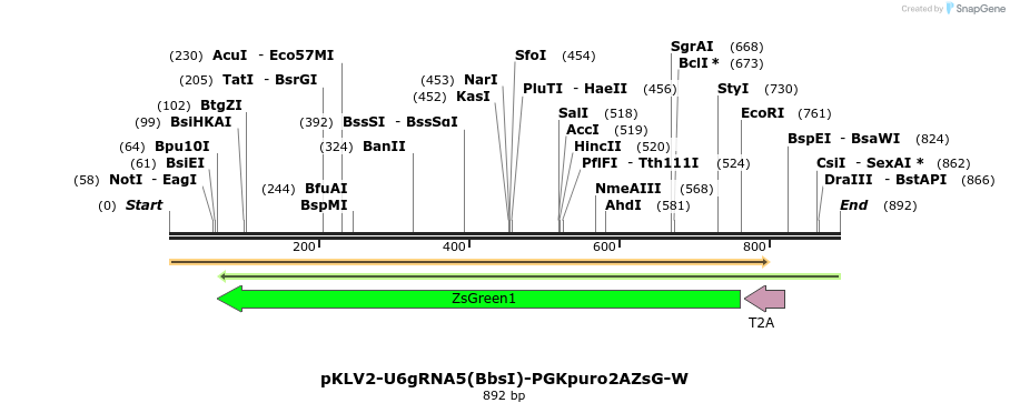 125658_map
