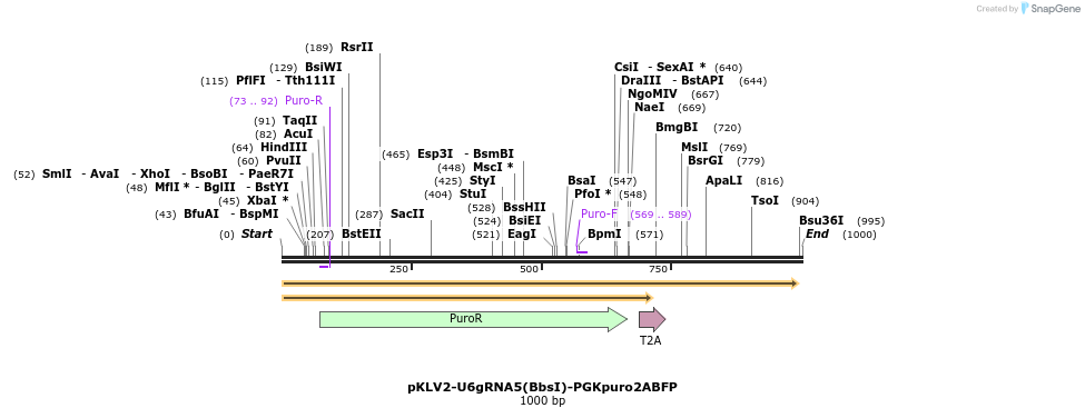 125680_map