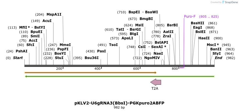 125682_map