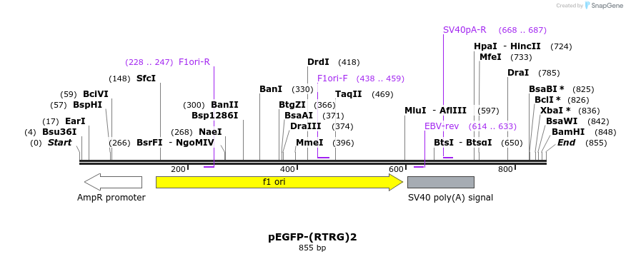 125688_map