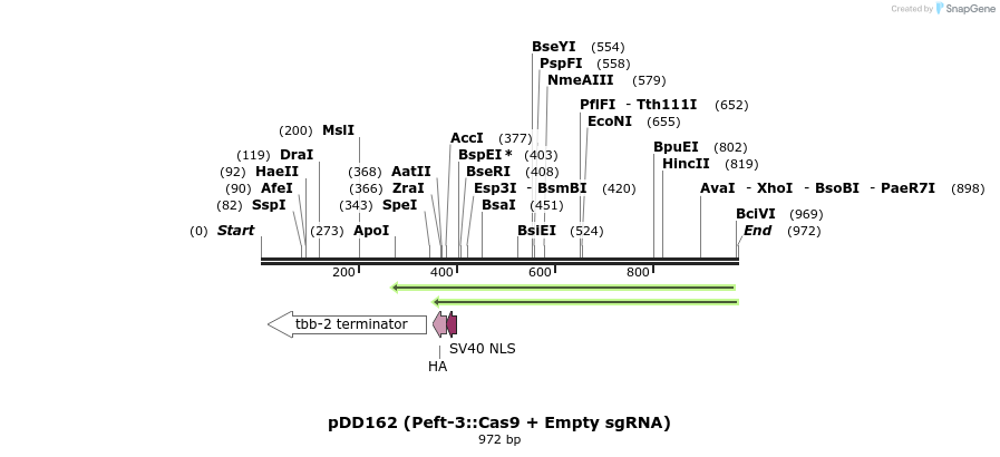 125700_map