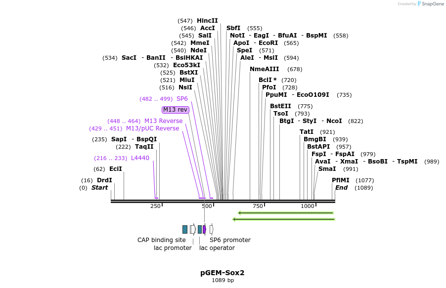 125702_map
