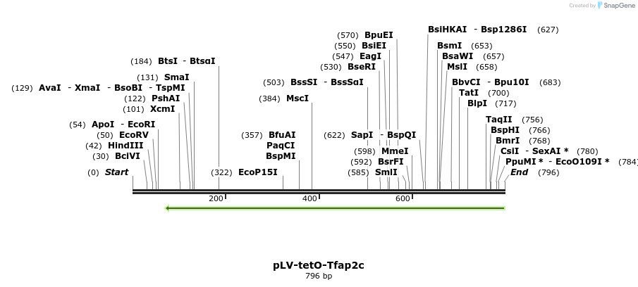 125707_map