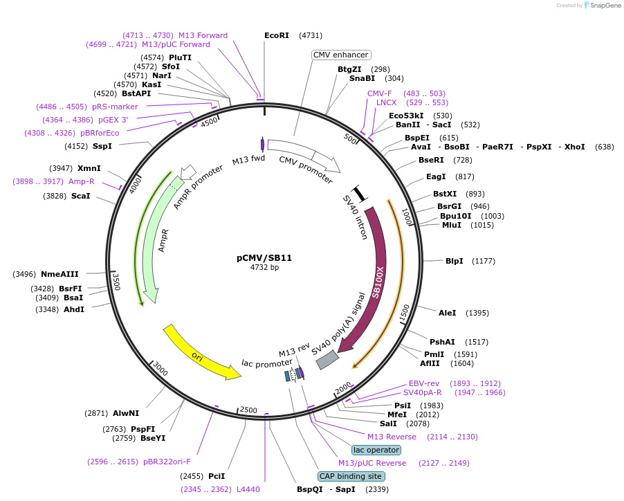 12571_map