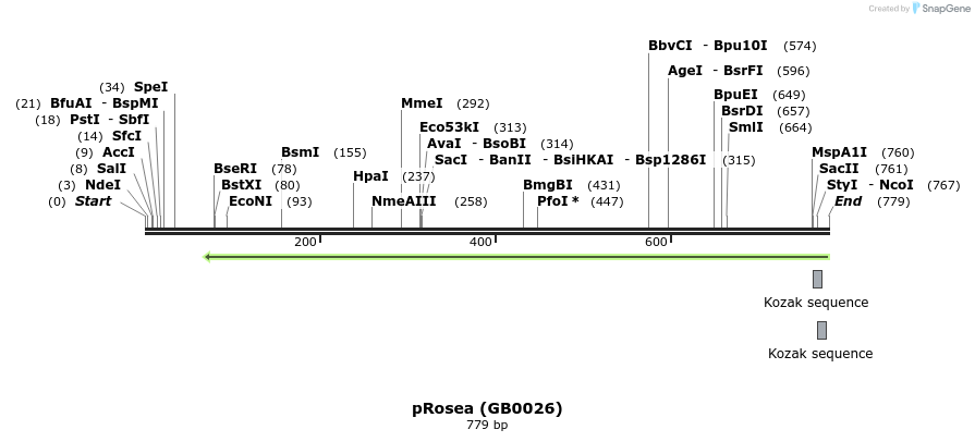 125711_map