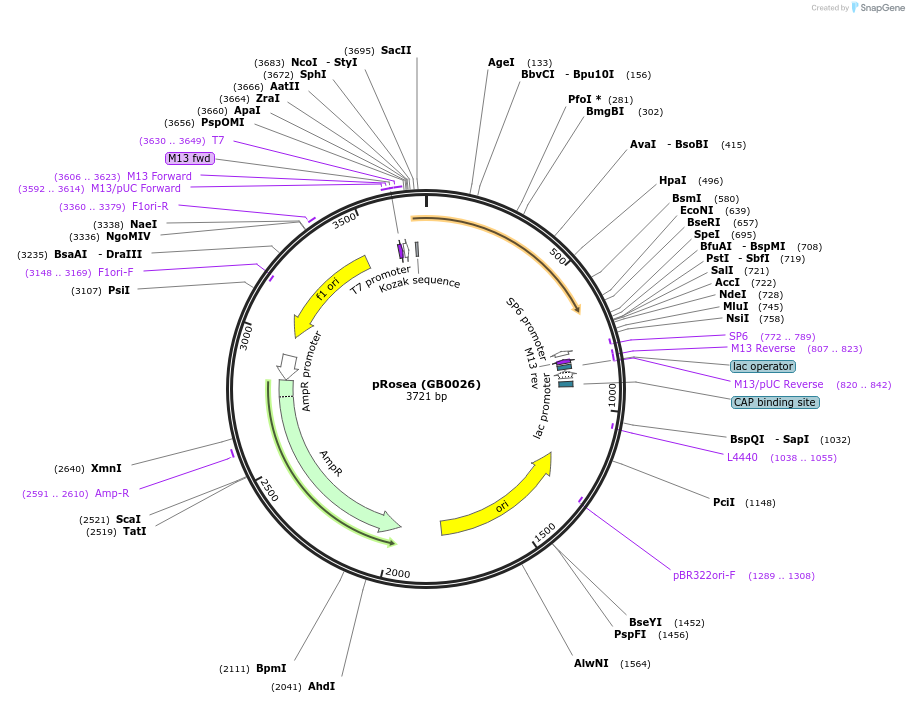 125712_map
