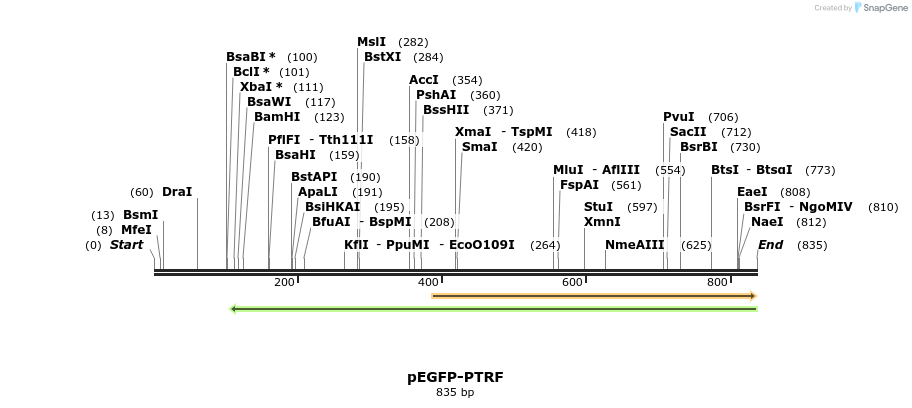 125719_map
