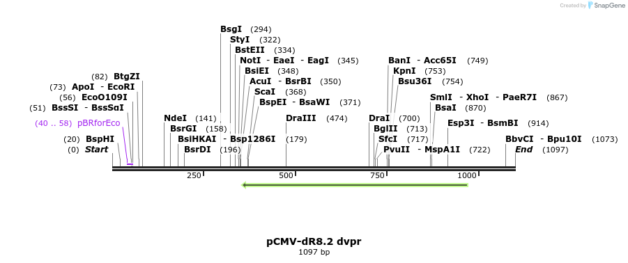 125720_map