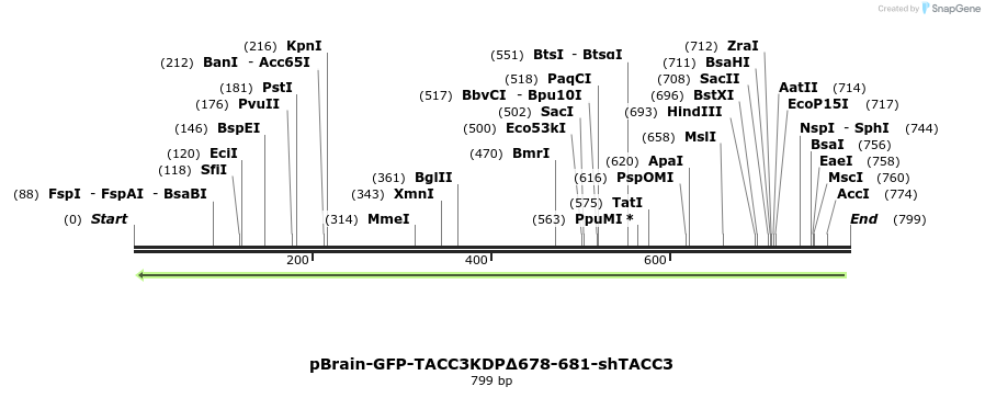 125722_map