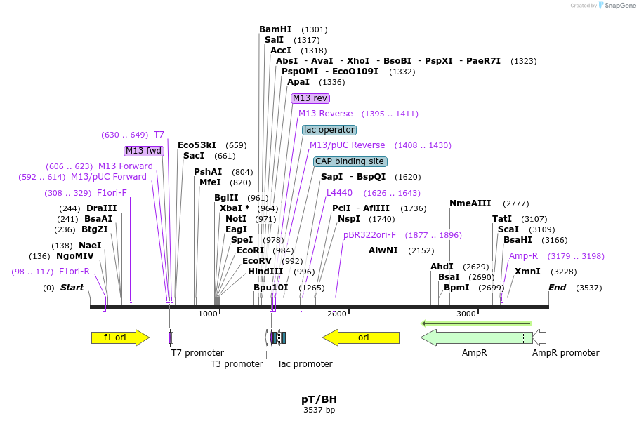 12573_map