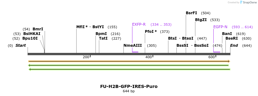 125730_map
