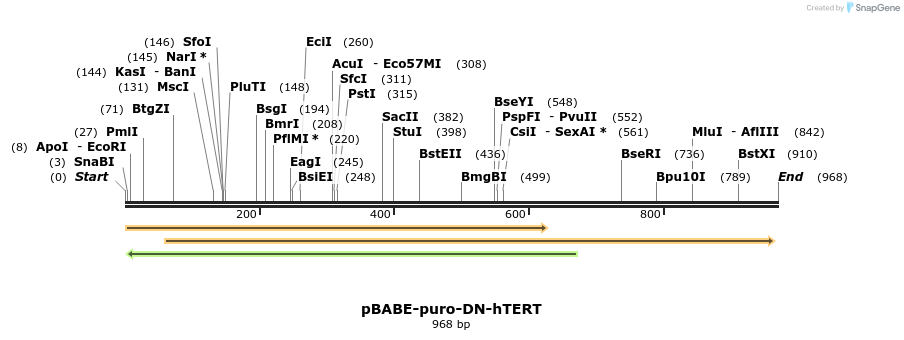 125731_map