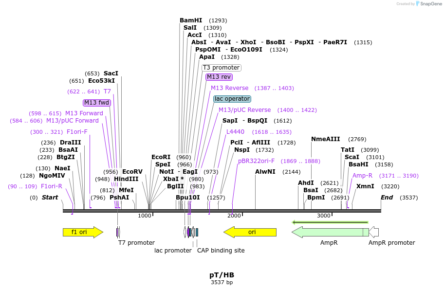 12574_map