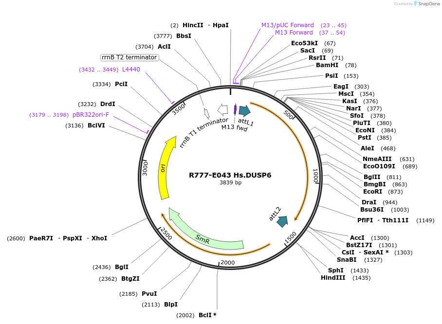 125776_map